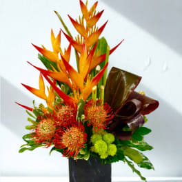 Tropical bouquet with orange bird of paradise and red pincushion blooms in a black vase