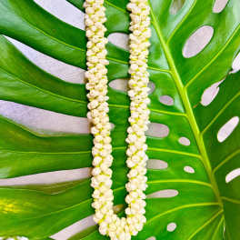 White flower garland laid over large green tropical leaves