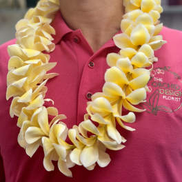 Yellow flower lei around a person wearing a pink polo shirt