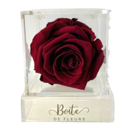 Single red rose in a clear acrylic box