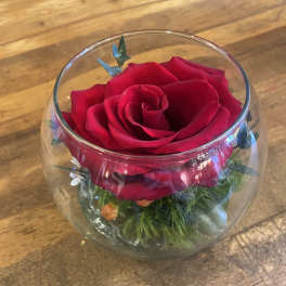 Single red rose in a round glass bowl with small accents