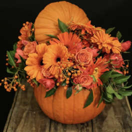 Autumn Blossom Delight
