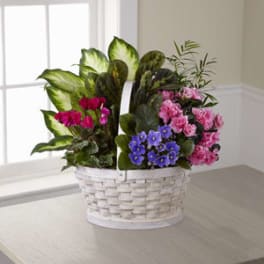 Mixed flower basket with pink, purple, and blue blooms