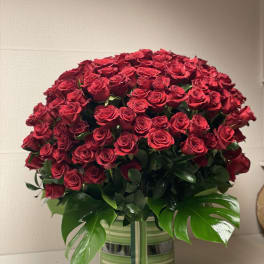 Large bouquet of red roses in a striped vase