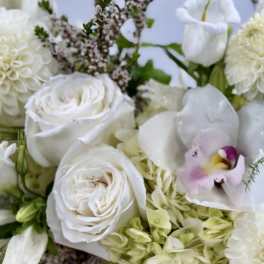 White roses and dahlias with a pale orchid in a floral arrangement