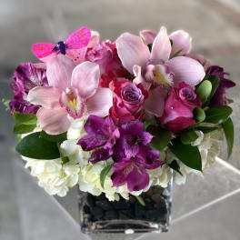Pink orchids and roses arranged in a square glass vase