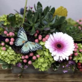 Succulent arrangement with a pink gerbera daisy and butterfly decoration