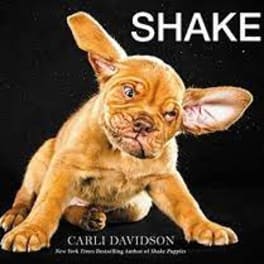 A winking puppy on a black background with the word SHAKE above it