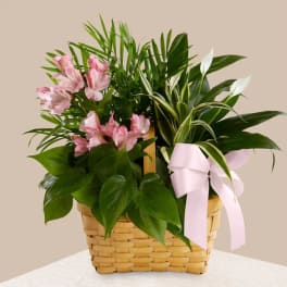 Pink flowers arranged in a woven basket with a pink ribbon