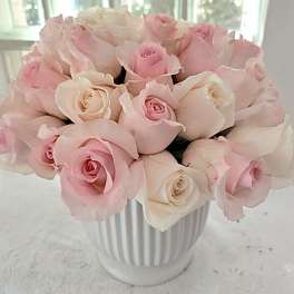 Pink and white roses arranged in a white ribbed vase