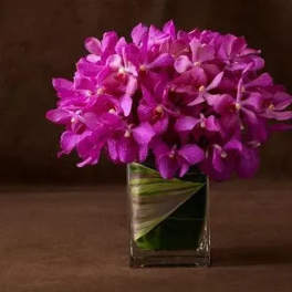 Purple orchid bouquet in a clear square vase