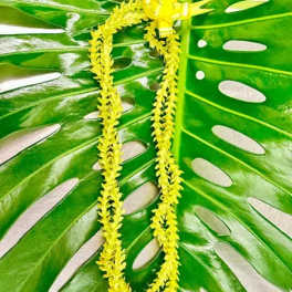 Yellow lei on a large green tropical leaf