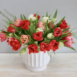 Bouquet of red and pink tulips in a white ribbed vase