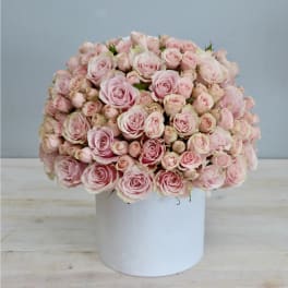 Round bouquet of pale pink roses in a white box