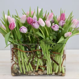 Pink and lavender tulips arranged in a clear rectangular vase