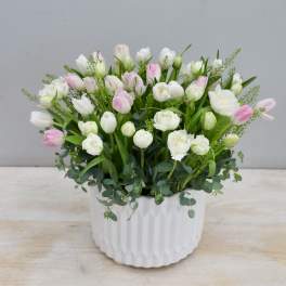 Pink and white tulips in a white ceramic pot