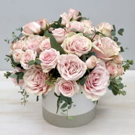 Pink roses arranged in a round white vase with greenery