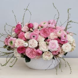 Pink and white ranunculus arrangement in a white bowl vase