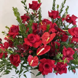 Red roses and anthuriums arranged in a white vase