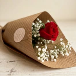 Single red rose wrapped in brown paper with white baby's breath
