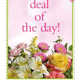 Pink greeting card with flowers and the words "deal of the day!"