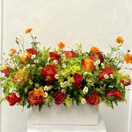 Red and orange roses with small white daisies in a white rectangular container