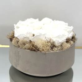 White roses arranged in a round gray box with dried moss