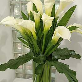 White calla lilies in a tall glass vase