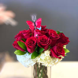 Red roses in a clear square vase with white hydrangeas and a butterfly pick