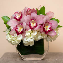 Pink orchids and white hydrangeas in a clear glass vase