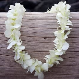 White orchid lei on a wooden surface