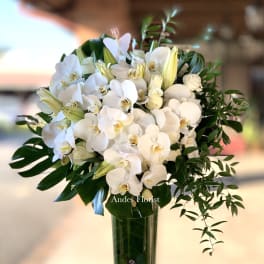 White orchid and lily arrangement in a tall glass vase