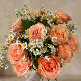 Peach roses with small white daisies in a hand-held bouquet