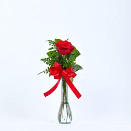 Single red rose in a clear glass vase with a red ribbon