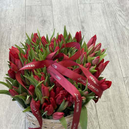 Basket of red tulips tied with red ribbons