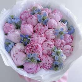 Bouquet of pink peonies with small blue flowers wrapped in white paper