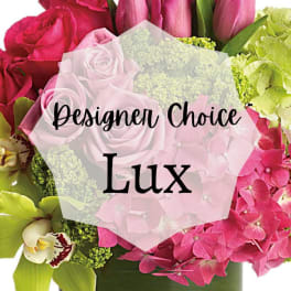 Designer Choice Luxury