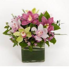Compact arrangement of pink and green orchids with tiny pink blooms in a square glass vase