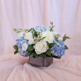 White roses and blue hydrangeas arranged in a square vase