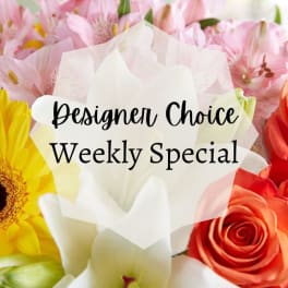 Designer Choice Weekly Special