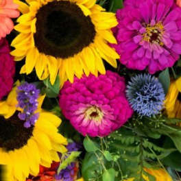 Bright bouquet of yellow sunflowers with pink and orange blooms and purple accents in a dense arrangement