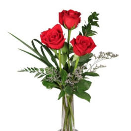 Three red roses in a clear glass vase with greenery