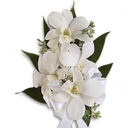 White orchid bouquet with ribbon and dark green leaves