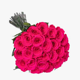 Bouquet of bright pink roses with wrapped stems