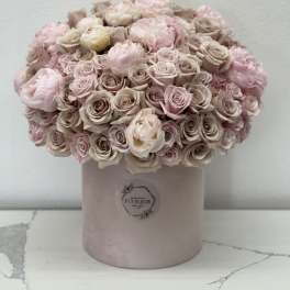 Nude blush