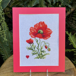 Framed cross-stitch of a red poppy flower