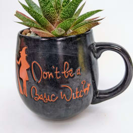 Succulent planted in a black mug with orange text