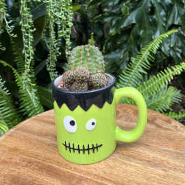Cactus in a Frankenstein-themed mug planter