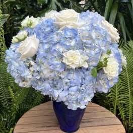 Blue hydrangea and white rose arrangement in a cobalt vase