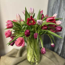Pink and red tulips in a clear glass vase